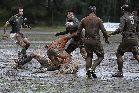 Groupe, hommes, jouer, rugby à XV, sport, boue, concours