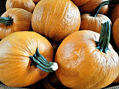 pumpkins, vegetable, thanksgiving, halloween, pies, food, harvest