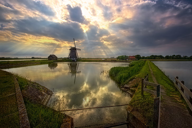 molino de viento, Texel, Países Bajos, vacaciones, estanque, dique, verano