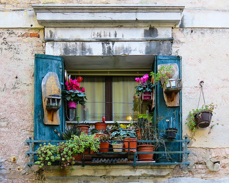 architecture, fenêtre de, fleurs, fleur, décoration, obturateur, pot de fleurs