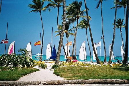 dominican republic, caribbean, sea, beach, palm trees, sailing boat, boats
