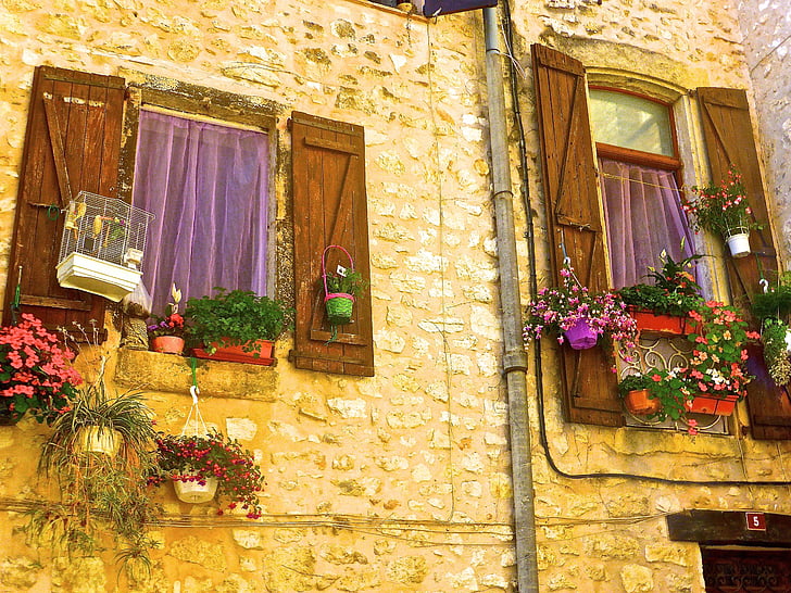 finestra, paret, exterior, colorit, flors, residencial, fusta