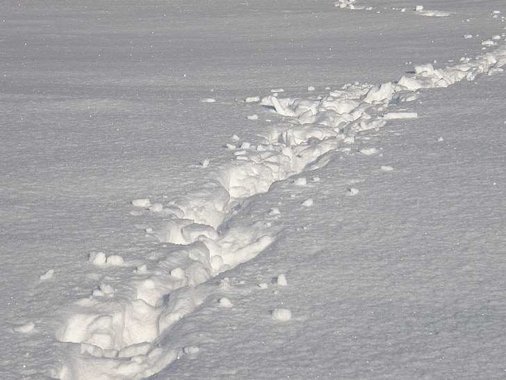 snow, tracks in the snow, white, footprints, winter, snow lane, track
