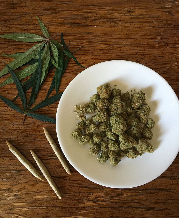 cannabis, marijuana, mauvaises herbes, médicament, chanvre, médecine, plante