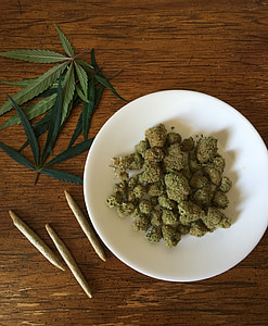 cannabis, marihuana, malas hierbas, drogas, cáñamo, medicina, planta