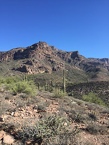woestijn, Cactus, Arizona, natuur, landschap, Saguaro, woestijn landschap