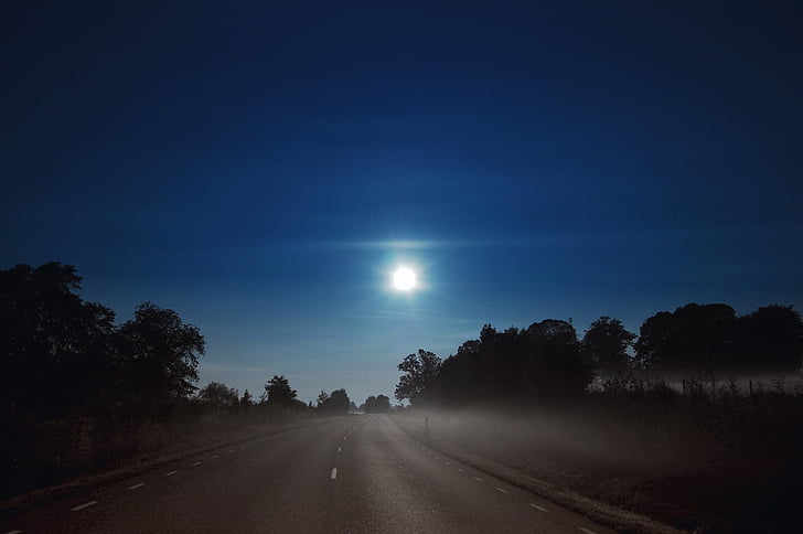 Luna llena, nube, Himmel, noche, carretera, bosque, árbol