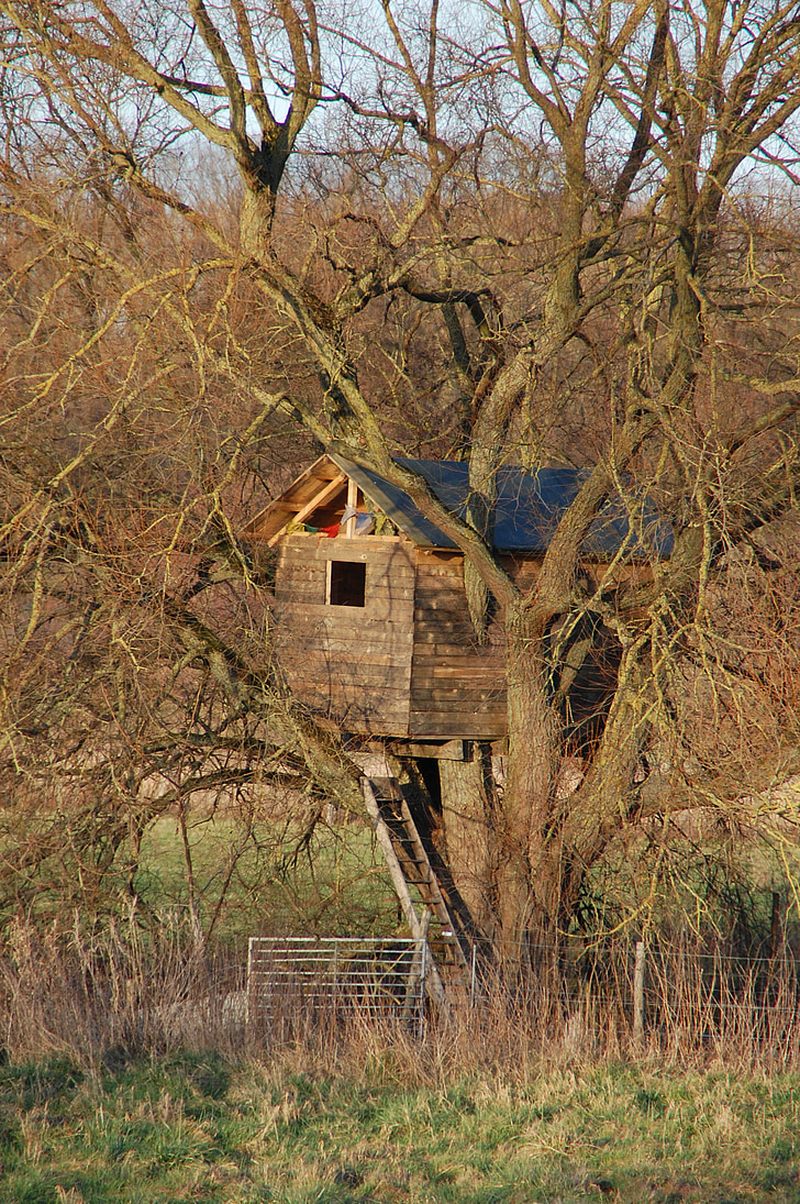 kabina, lesa, treehouse, drevo, se zatekli, mir