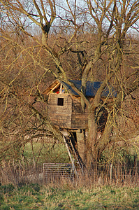kabina, lesa, treehouse, drevo, se zatekli, mir
