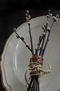 branches, easter, plate, antique, china, salix alba, willow