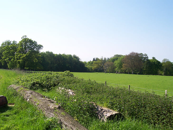 zona rurală, downs de Nord, Kent, Sittingbourne, Tara, Parcul, iarba