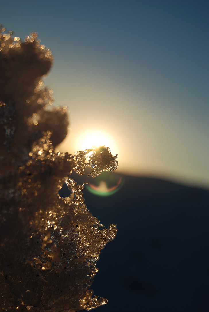 snow, winter, ice, sun, cold, frost, nature