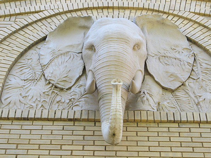 Gajah, kepala, Ornamen, batu, Desain, artistik, arsitektur