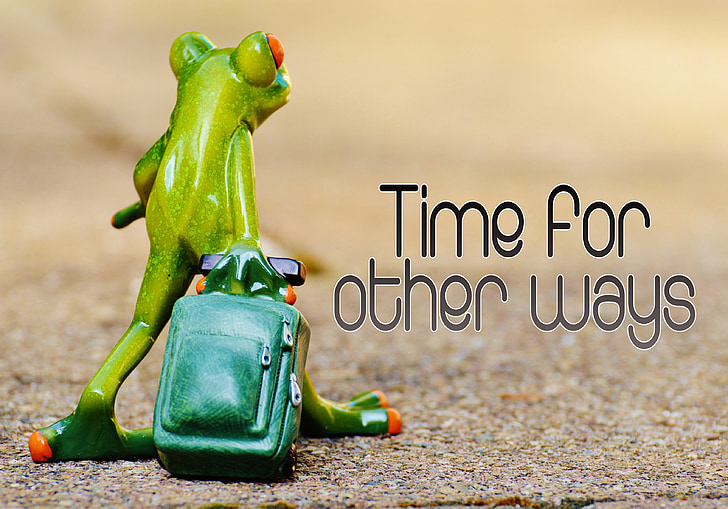 frog, time for other ways, farewell, travel, luggage, holdall, go away