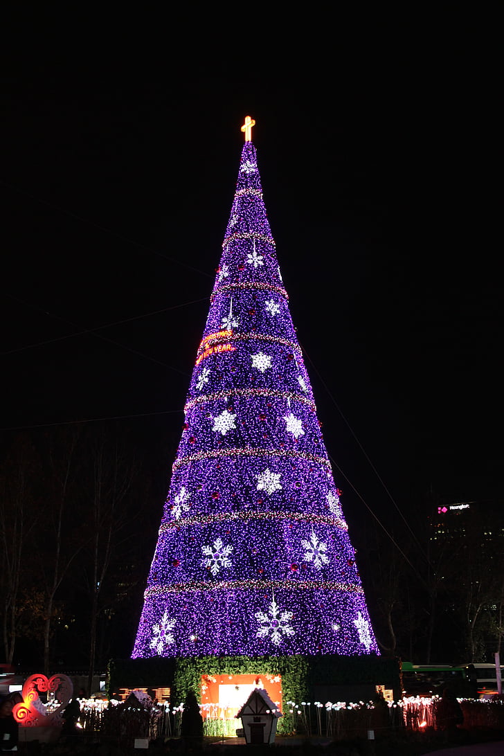 christmas, night view, tree, purple