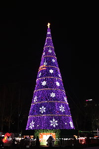 Χριστούγεννα, Νυχτερινή άποψη, δέντρο, μωβ