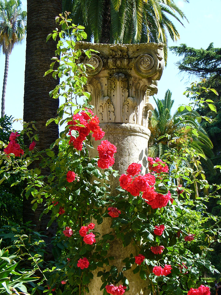 stele, roser, natur, Park, haven, arkitektur