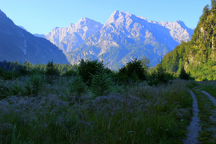 mountain, away, meadow, nature, landscape, trail, austria