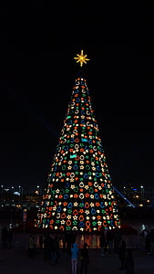 Коледа, дърво, светлини, звезда, нощ, празник, осветени