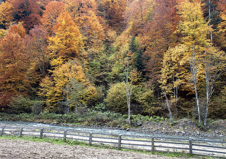 na podzim, řeka, sezóny, Příroda, cestování, malebný, krajina
