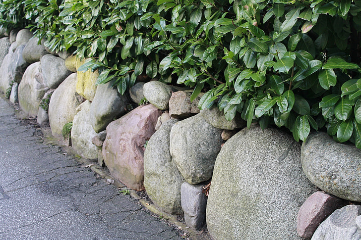 cobertura, mur de pedra, pedres, verd