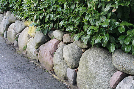 cobertura, muro de piedra, piedras, verde