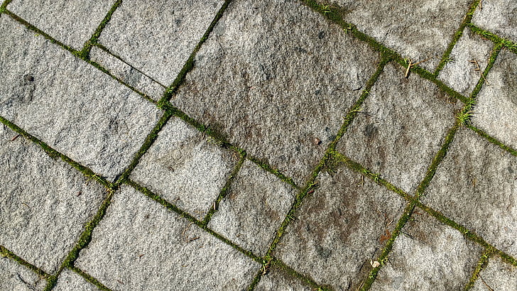 gulvet, tekstur, Moss, jord, sten, brosten, Street