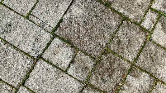 floor, texture, moss, soil, stone, paving stones, street