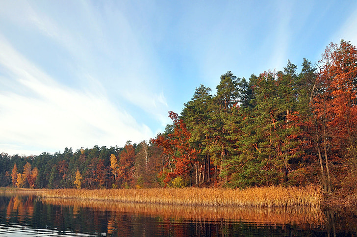slapjo ezers, novembris, rudens, Polija, meža, ainava, daba