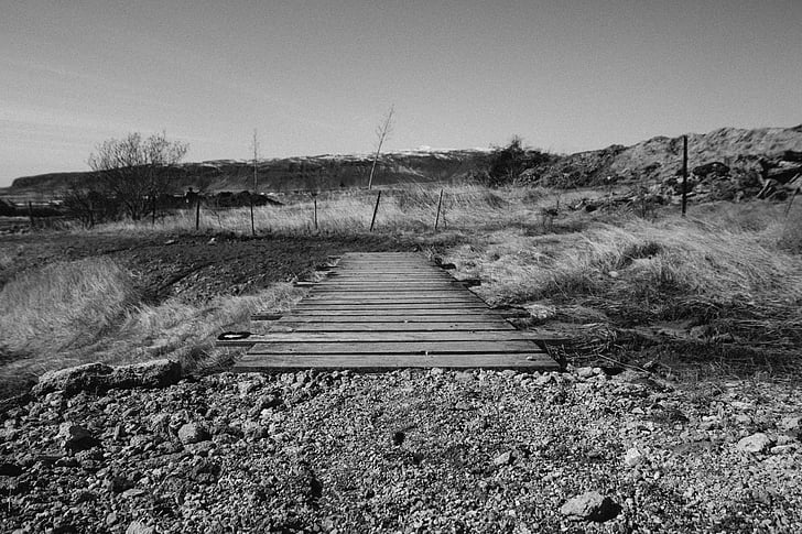 grayscale, photo, wooden, bridge, wood, rocks, dirt