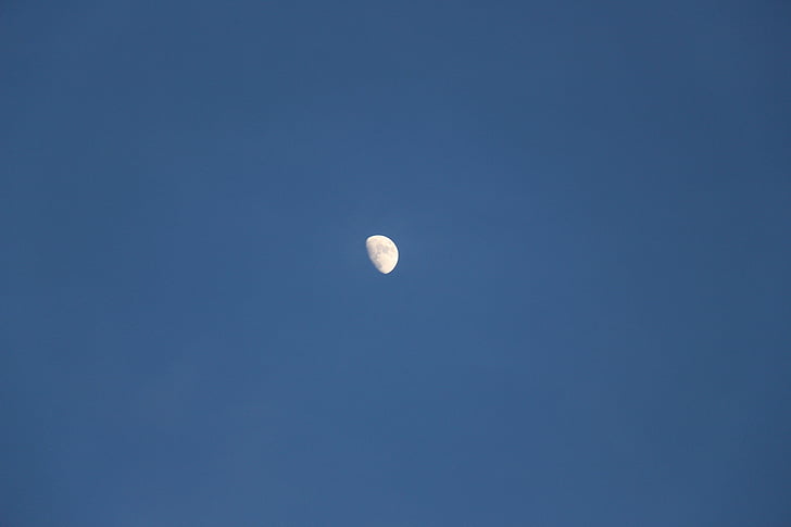 měsíc, polovina, Half moon, obloha, modrá, noční, atmosféra