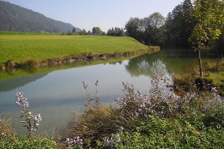 krajobraz, jesień, Austria, Walchsee, nad jeziorem walchsee, drzewo, łąka