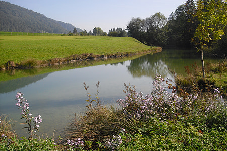 landschap, herfst, Oostenrijk, Walchsee, op lake walchsee, boom, weide
