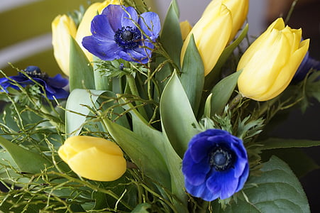 bó hoa, Tulip, mùa xuân, Hoa, schnittblume, thực vật, Blossom