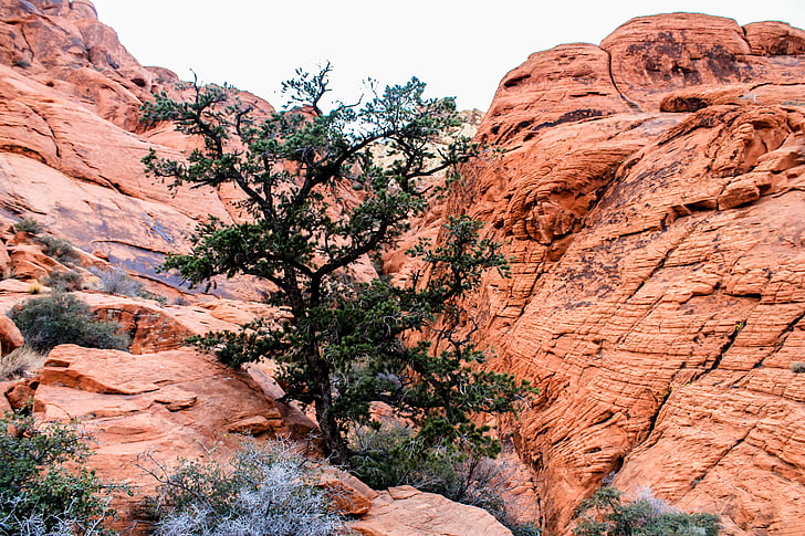 Utah, Vörös sziklák, piros, nemzeti, Park, Amerikai Egyesült Államok, sivatag