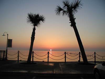 saullēkts, palmas, no rīta, jūra, saulriets, pludmale, debesis