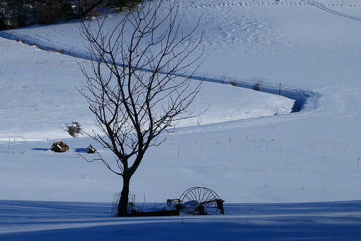 landschap, winter landschap, sneeuw, boom, landbouw matèriel, natuur, wit