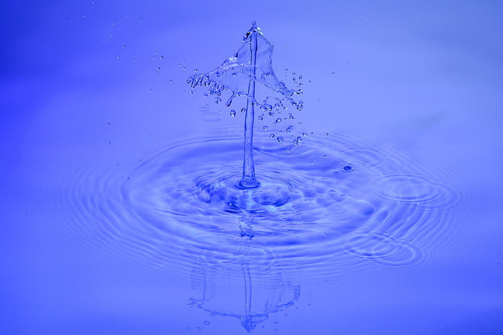 drip, water, drop of water, water feature, blue, spray, inject