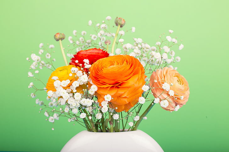 květiny, Pryskyřník, kytice, Váza Flower, oranžová, jaro, Velikonoce