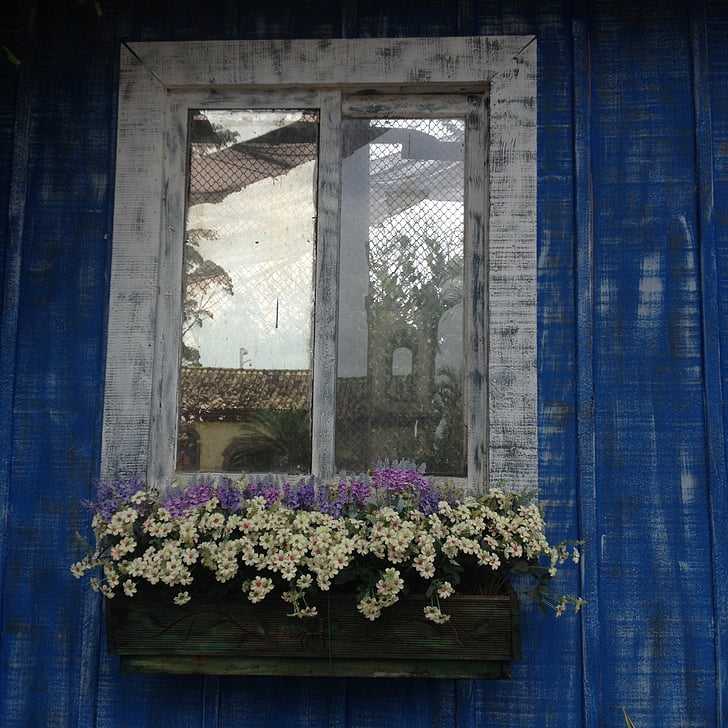 flowers, window, balcony