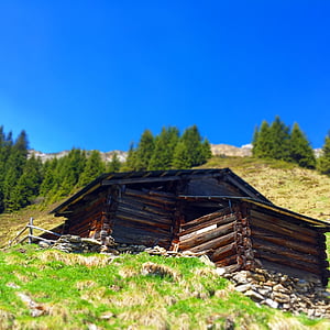 stall, log cabin, nature, alm, mountain hut