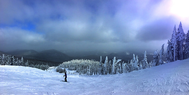 스키, 겨울, 눈, 산, 자연, 떨림, 캐나다