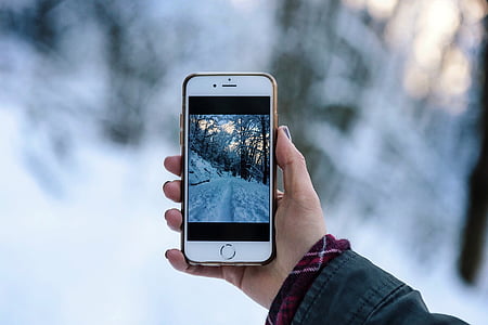 Silver, iPhone, en tenant, photo, neige, technologie sans fil, téléphone intelligent