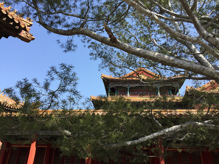 beijing, the national palace museum, chinese architecture, capital, ancient architecture