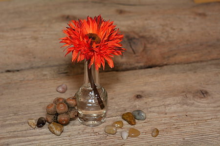 flower, plastic flower, art flower, red, stones, vase, wood