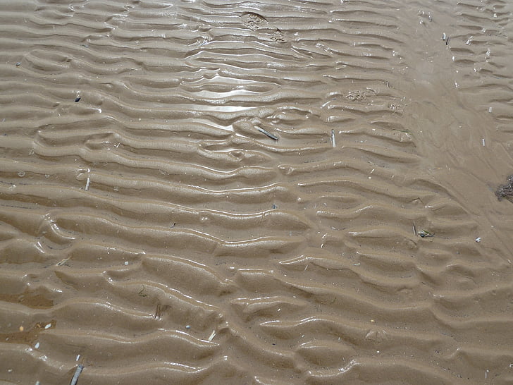 Beach, vlny, Norfolk, príliv a odliv, mokré, piesok
