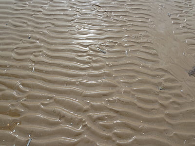 stranden, bølger, Norfolk, tidevann, våte, sand