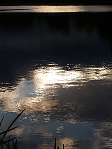 water, pond, evening, ledenice, ponds spas, reflection