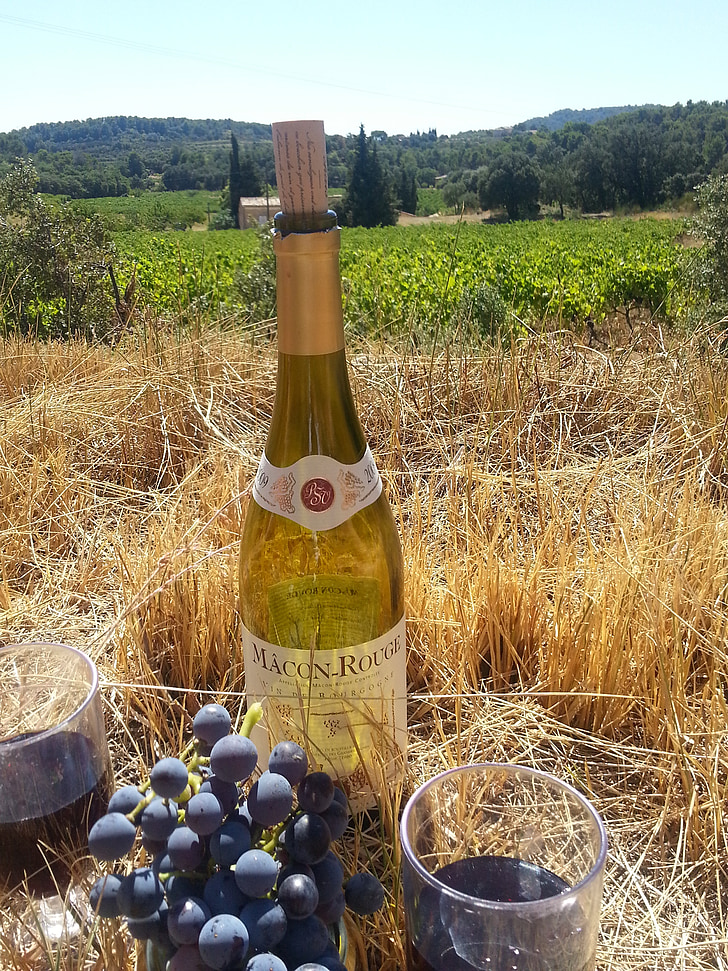 вино, виноград, літо, Виноградна лоза, Франція, романтичний