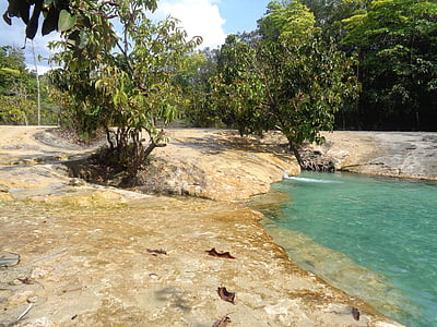 piscina de esmeralda, piscina, céu, verde, floresta, água, tropical